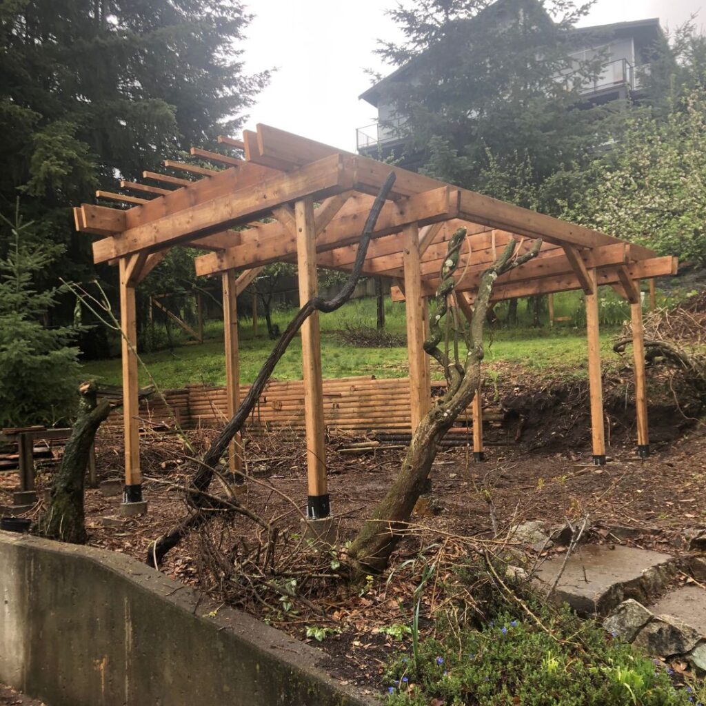 Maple Bay Pergola After Photo